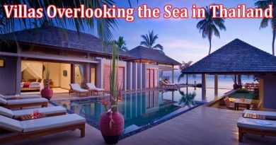 Complete Information About Ideal Villas Overlooking the Sea in Thailand. Characteristics to Consider When Choosing