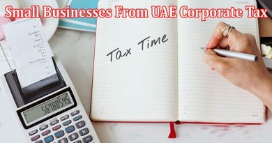 Complete Information About What Are the Reliefs Given to Small Businesses From UAE Corporate Tax