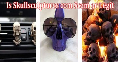 Skullsculptures com Online Website Reviews