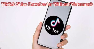 Complete Information About PPPTik Review - The Best TikTok Video Downloader Without Watermark