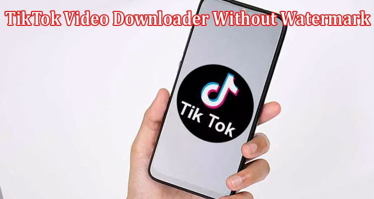Complete Information About PPPTik Review - The Best TikTok Video Downloader Without Watermark