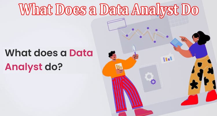 Complete Information About What Does a Data Analyst Do