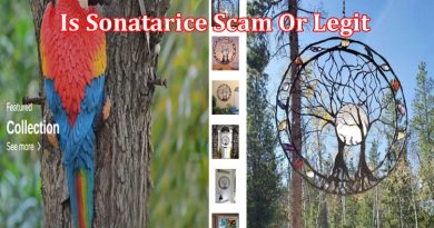 Sonatarice online website reviews