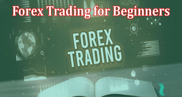 A Comprehensive Guide to Forex Trading for Beginners