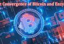 Complete Information About Transforming Digital Ownership - The Convergence of Bitcoin and Enzyme