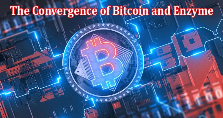 Complete Information About Transforming Digital Ownership - The Convergence of Bitcoin and Enzyme