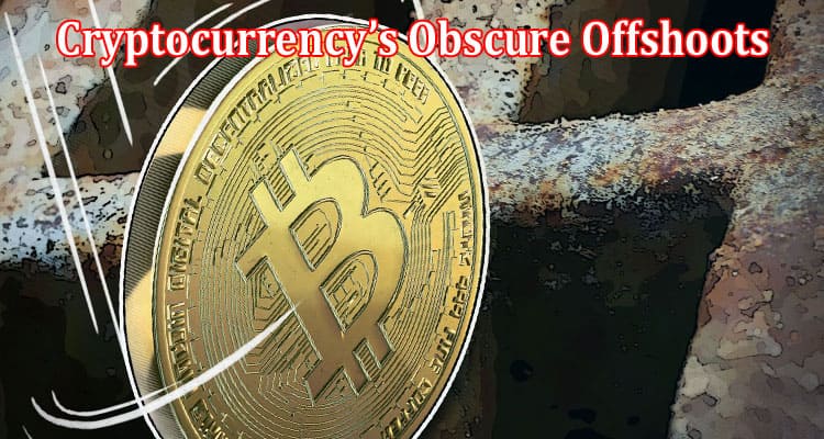 Complete Information About Unearthing Cryptocurrency’s Obscure Offshoots - Revealing Bitcoin’s Origins