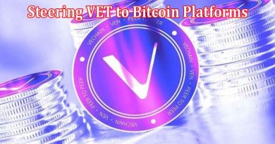 Complete Information About VeChain Vessel - Steering VET to Bitcoin Platforms