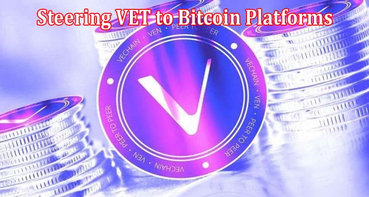 Complete Information About VeChain Vessel - Steering VET to Bitcoin Platforms