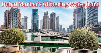 Find Your Dream Property Along Dubai Marina's Glittering Waterfront