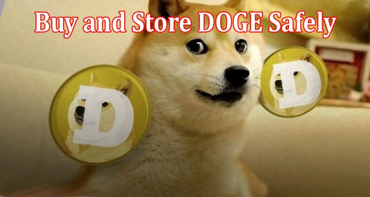 How to Smart Ways to Buy and Store DOGE Safely