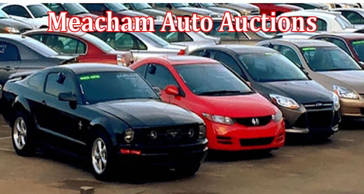 Inside the Heart-Pounding World of Meacham Auto Auctions!