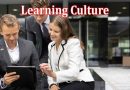 Learning Culture The Impact of Training on Business Dynamics