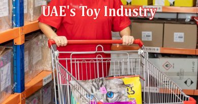 A Case Study on WEE Marketplace in UAE's Toy Industry