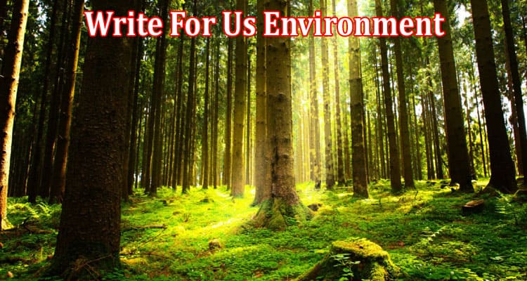 All Information About Write For Us Environment