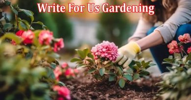 All Information About Write For Us Gardening