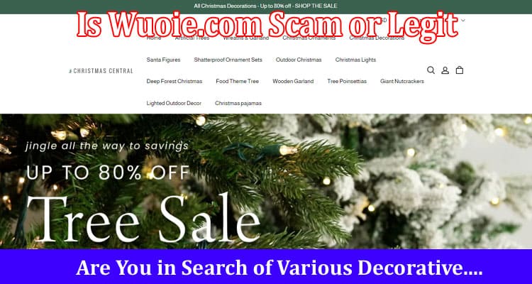 Is Wuoie.com Scam or Legit Online Website Reviews