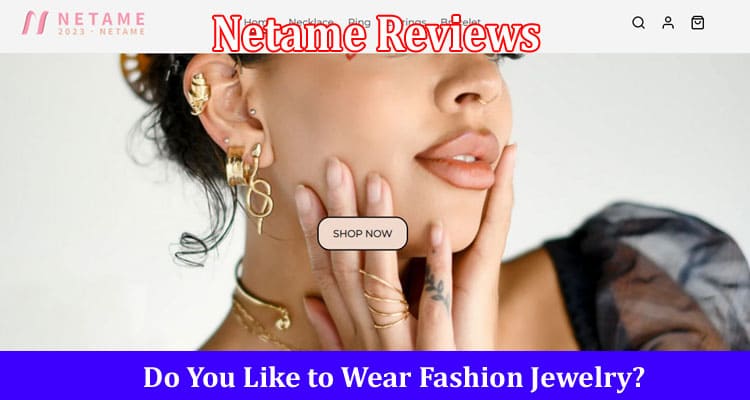 Netame Reviews Online Website Reviews
