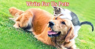 All Information About Write For Us Pets