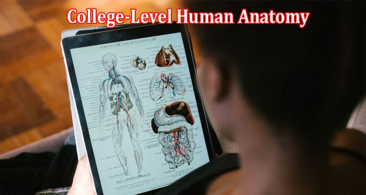 Complete Information College-Level Human Anatomy