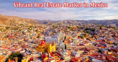 How to Navigating the Vibrant Real Estate Market in Mexico