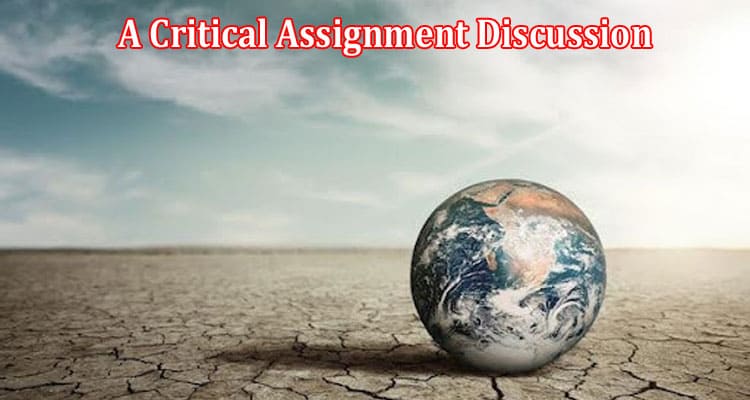 The Economics of Climate Change A Critical Assignment Discussion